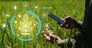 Agricultura